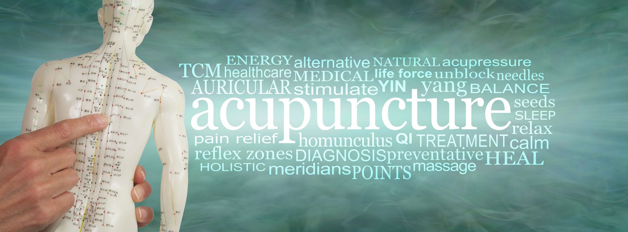 Acupuncture Word Cloud banner - hands holding an acupuncture points dummy beside an ACUPUNCTURE word cloud against a jade green background